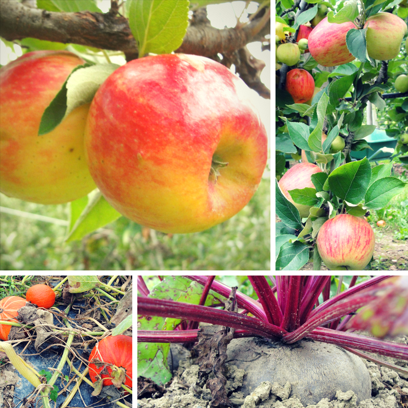 pomme