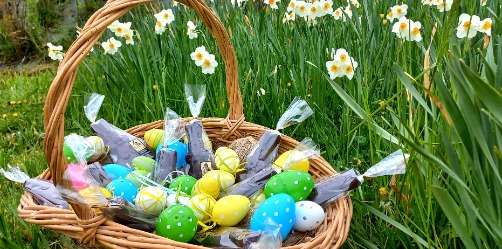 chasse aux oeufs
