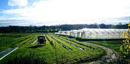 ferme