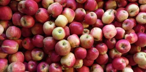 pomme