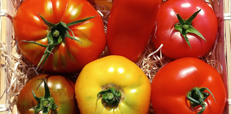 Tomates