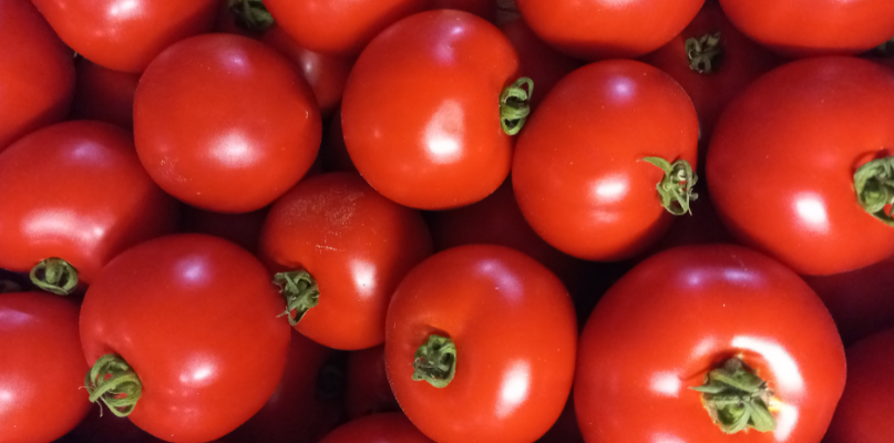 Tomates